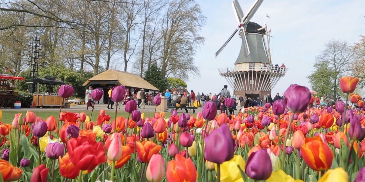 Guided tour to Keukenhof Gardens and Tulip Experience, photo 2