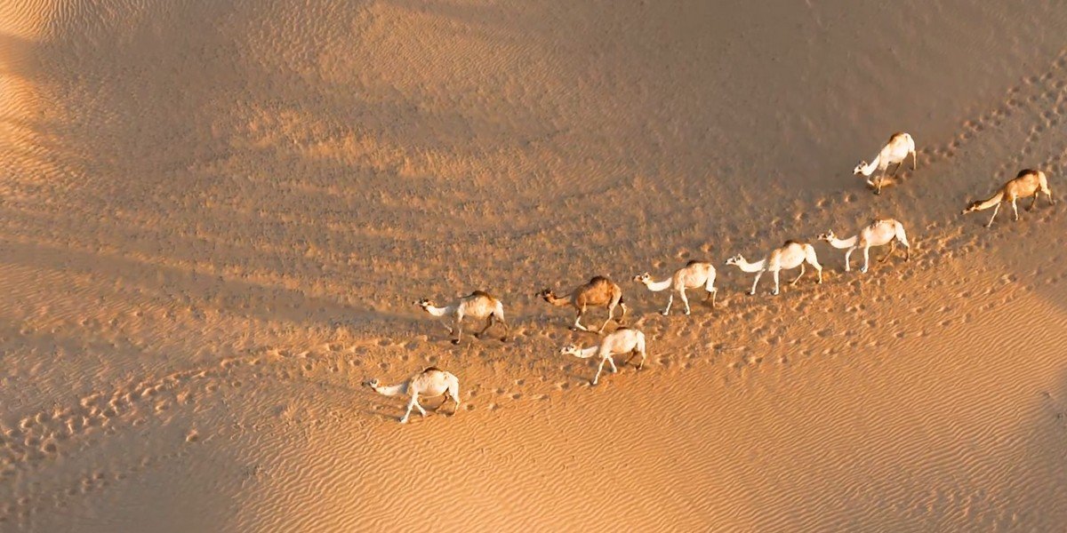 Hot Air Balloon Ride with Gourmet Breakfast, photo 2