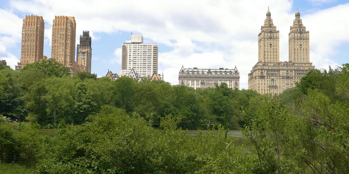 Guided Bike Tour of Central Park