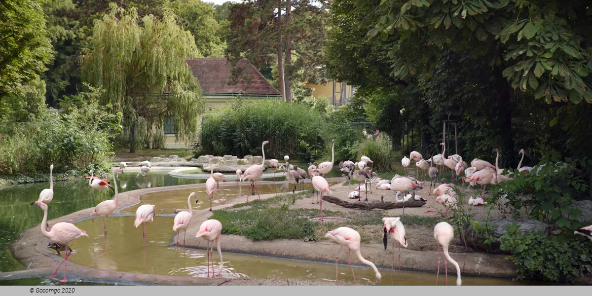 Schonbrunn Palace and Gardens Guided Tour with Skip-the-Line