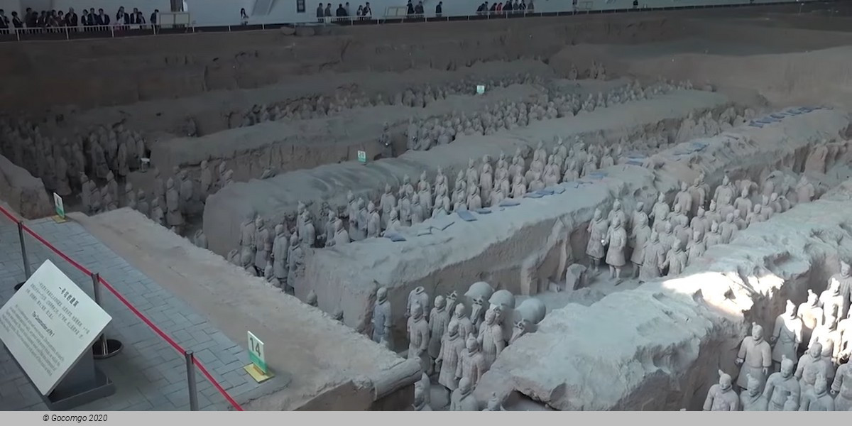 Full-Day Tour to Xi'an and the Terracotta Army by Flight from Shanghai