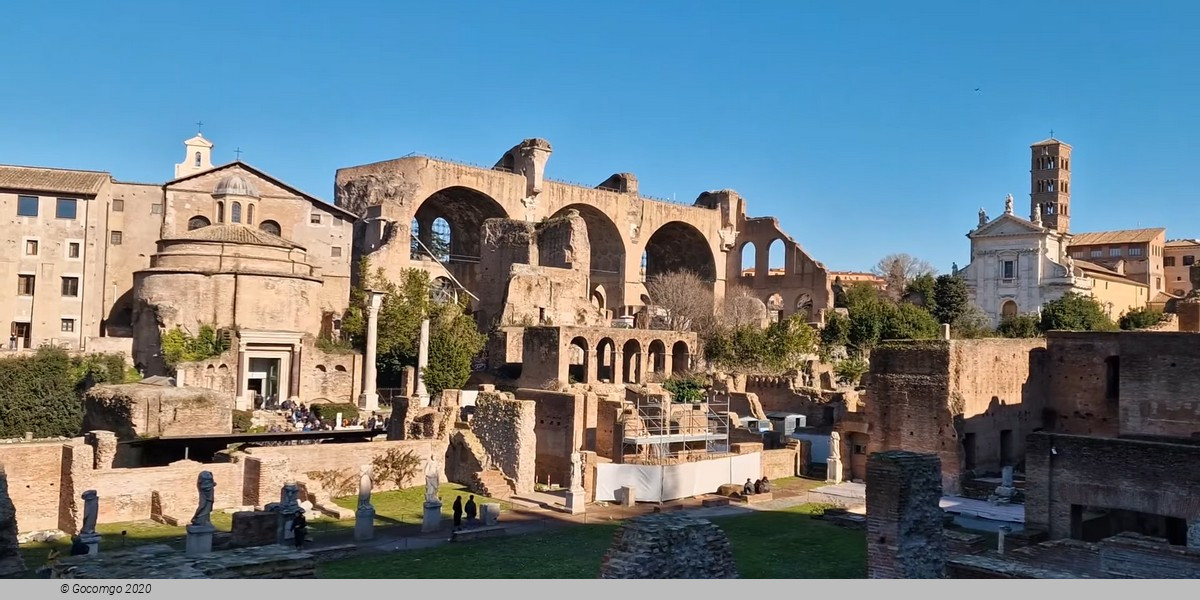 48h - Colosseum (1st Level, 3rd Level and Attic), Roman Forum and Palatin: Visits with the Panoramic Lift and Skip-the-Line Entry Tickets to 12 TOP-Areas