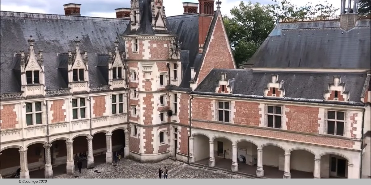 Loire Valley Castles Tour from Paris and Wine Tasting