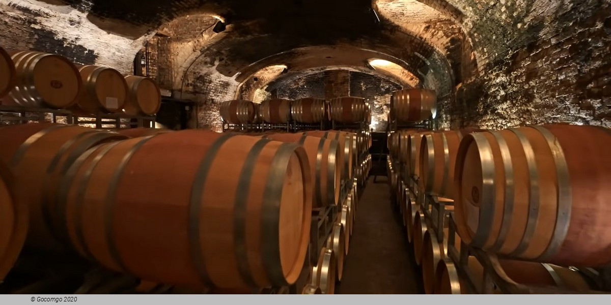 Barolo Winery with Wine Tasting, Alba town and UNESCO Castle Heritage (Tour from Milan)