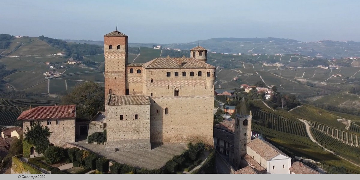 Tour from Milan: Barolo wine tasting, Alba town and UNESCO Castle Heritage