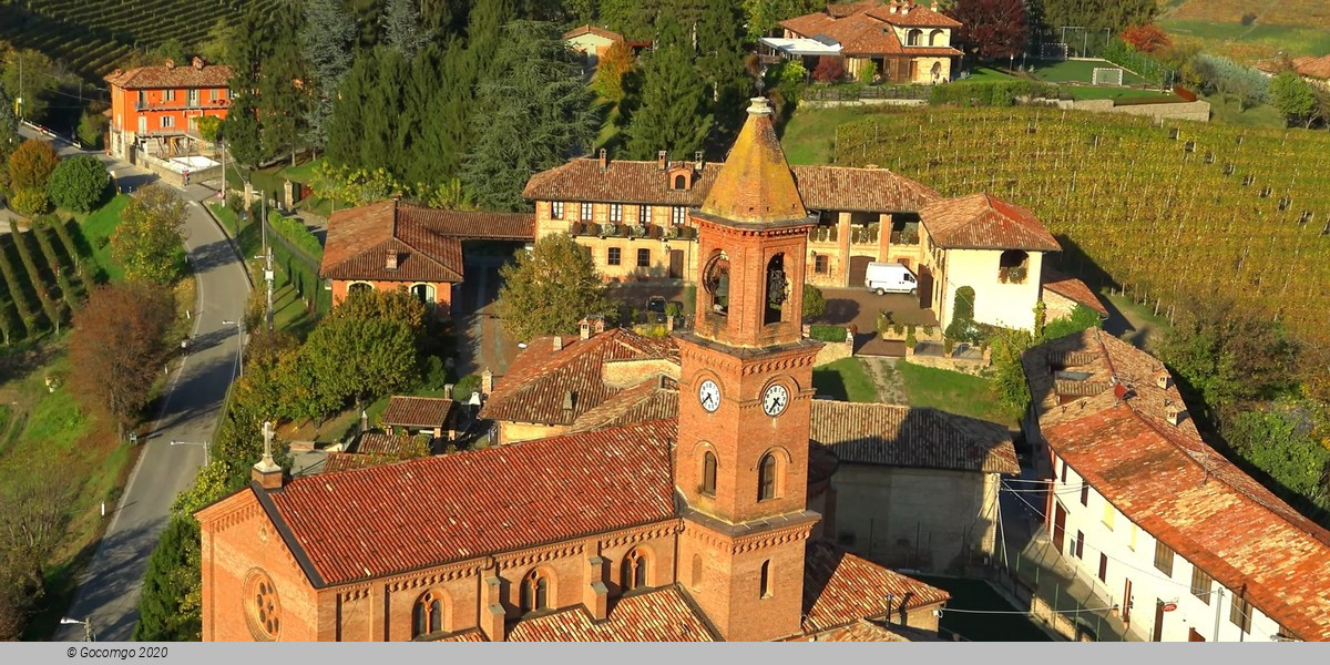 Tour from Milan: Barolo wine tasting, Alba town and UNESCO Castle Heritage