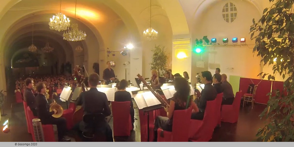 Evening at the Schönbrunn Palace Vienna: Classical Concert and Dinner