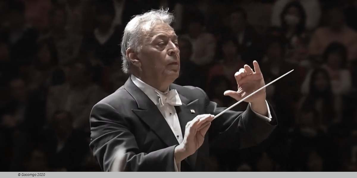 Abonnementkonzert VII, photo 1