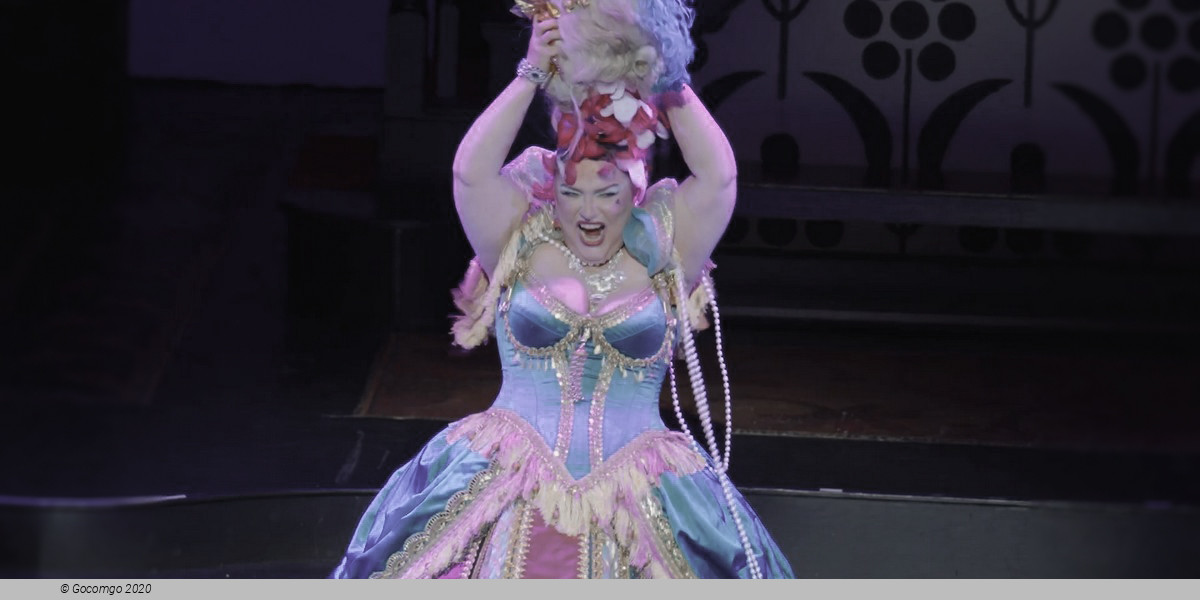 Opera Up Late, photo 4