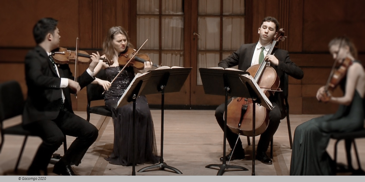Haydn-Quartette II: Hagen Quartett, photo 1
