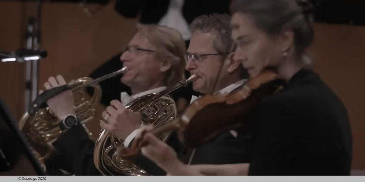 Beethoven Ⅱ, photo 2