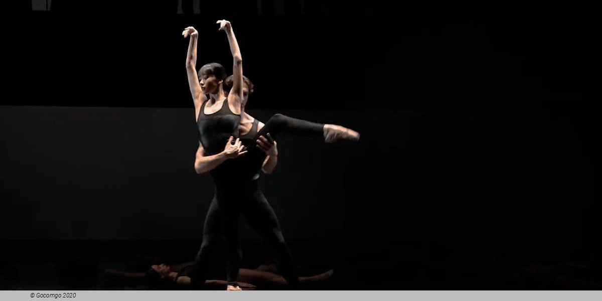 Dance Schools Gala, photo 1