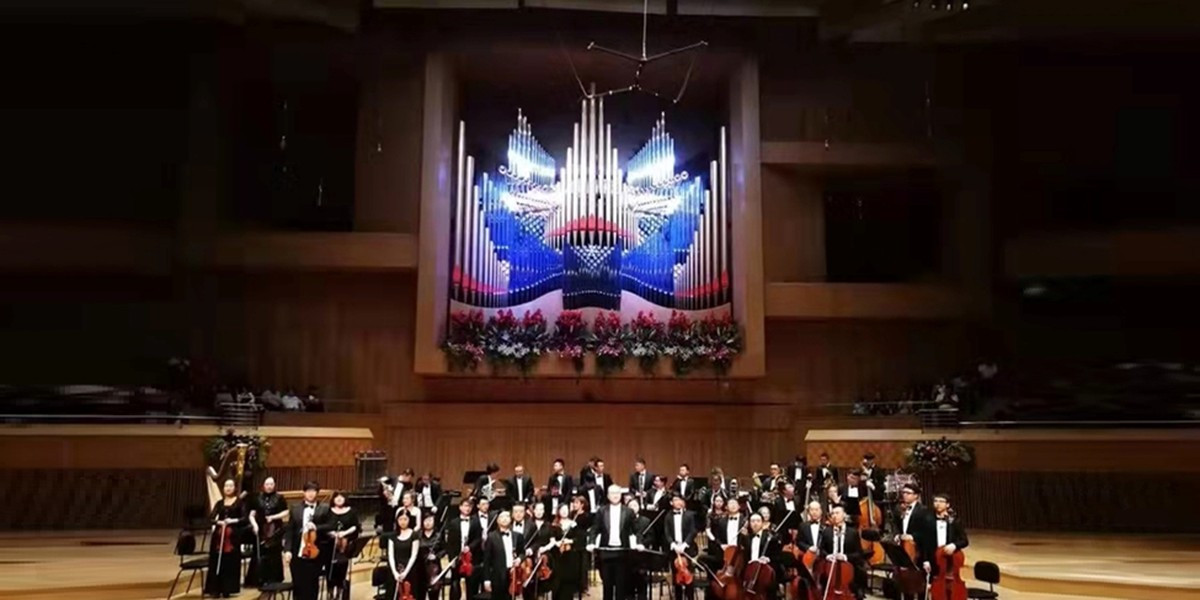 Vienna Strauss Night 2027 New Year Concert, photo 2