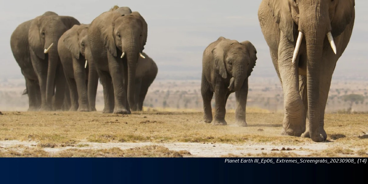BBC Earth: Planet Earth III Audiovisual Concert, photo 1