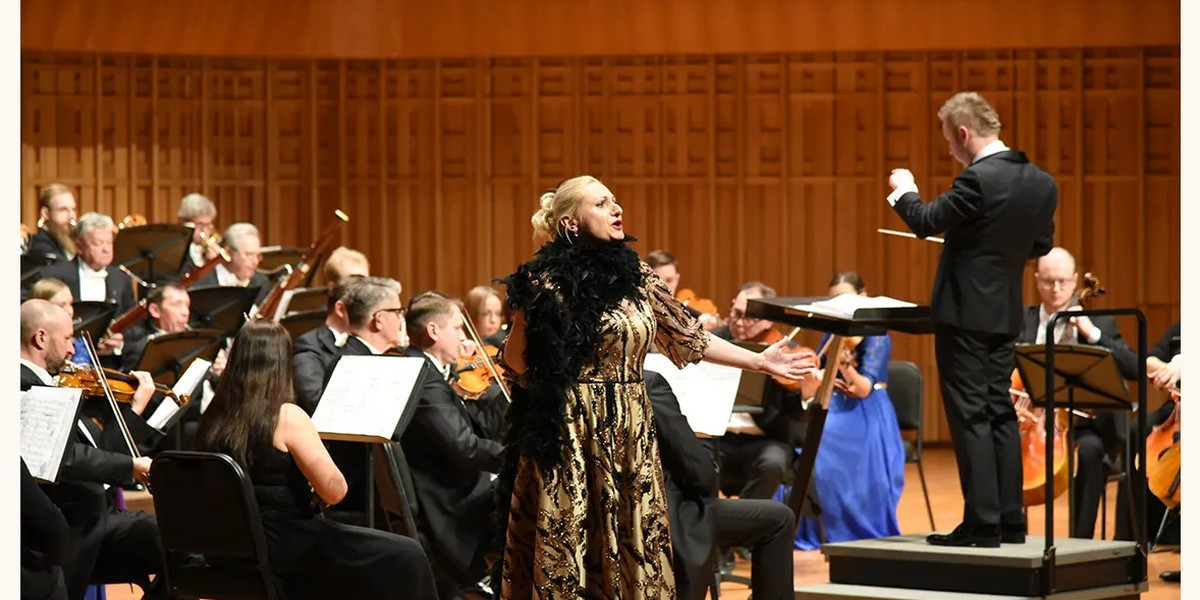 Strauss Waltzes - 2027 New Year Concert, photo 1