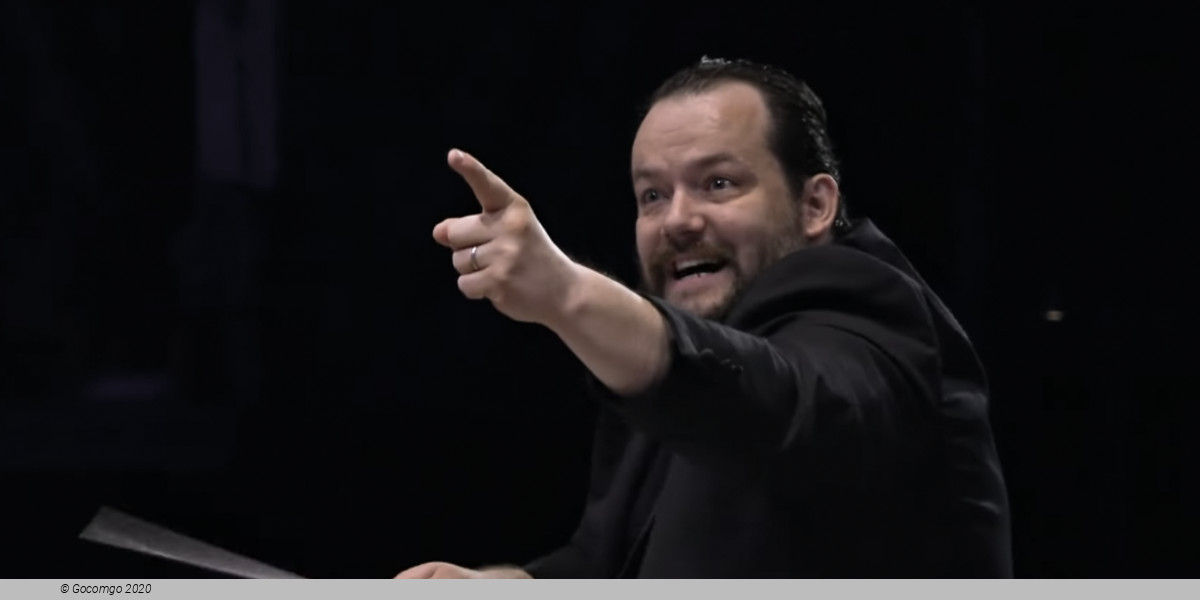 Tanglewood Music Festival, photo 3