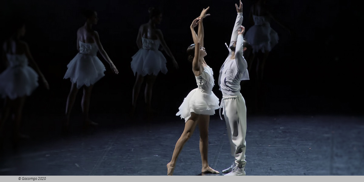 Swan Lake by Angelin Preljocaj, photo 1