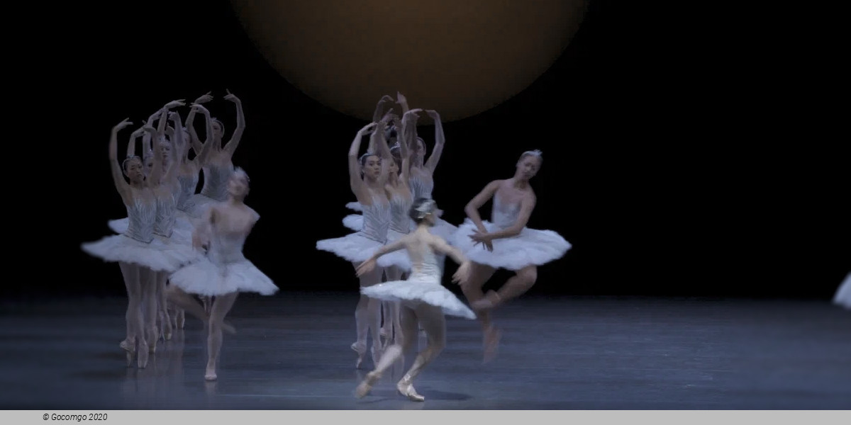 firebird by kent stowell, photo 4