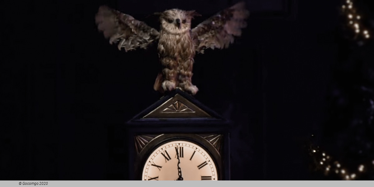 The Nutcracker (George Balanchine`s The Nutcracker ®)