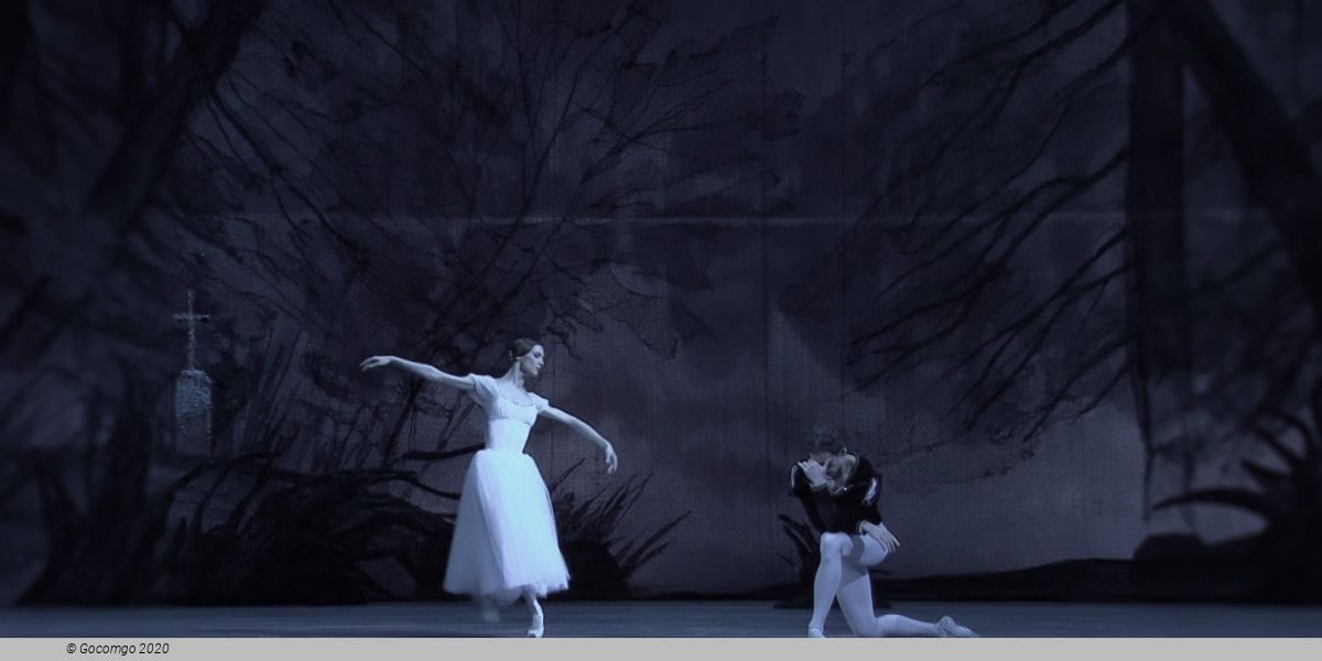 Giselle, photo 3