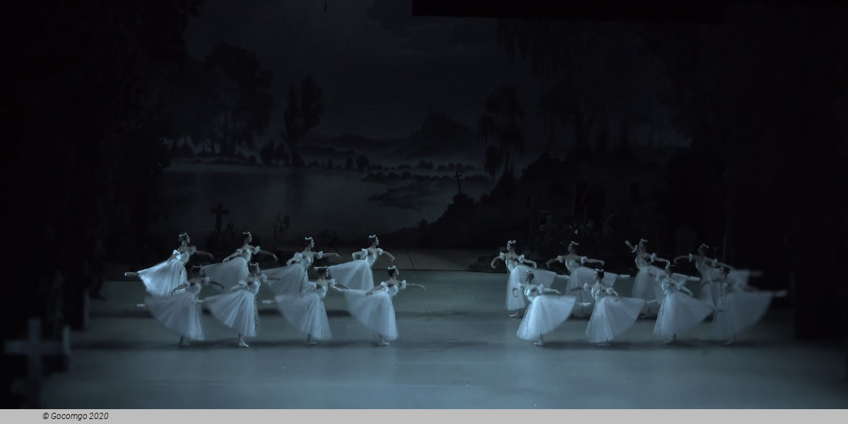 Giselle, photo 7