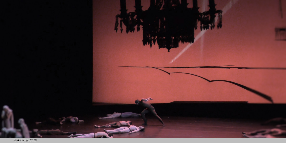 Leningrad Symphony, photo 4