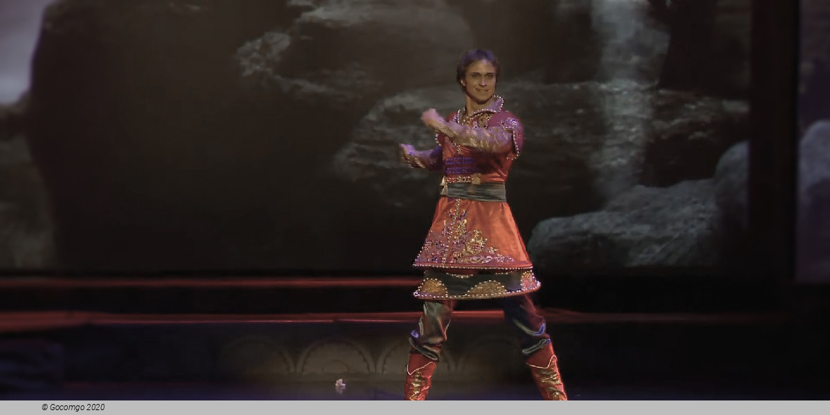 The Firebird, photo 3