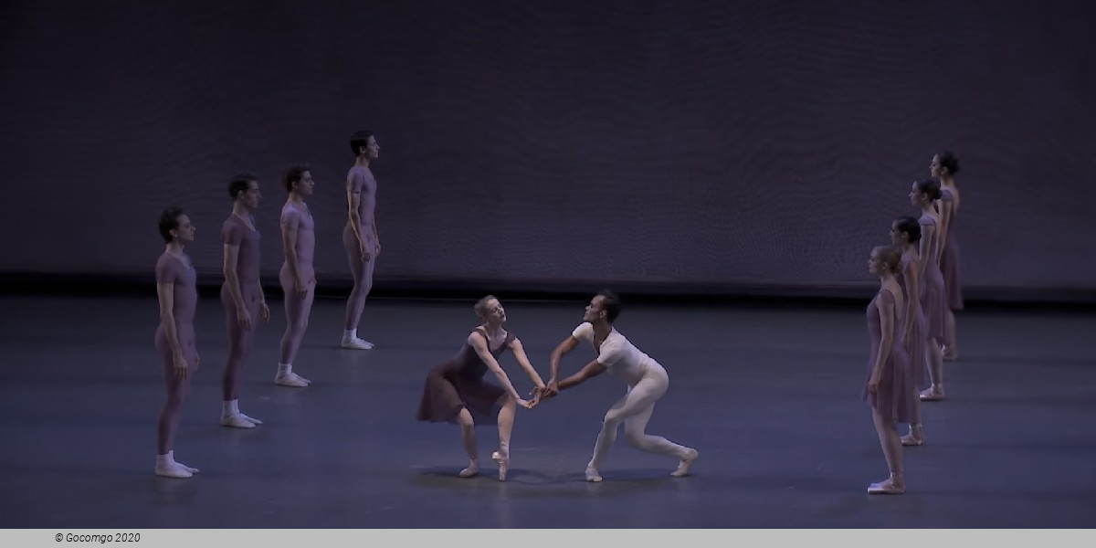 Opus 19 / The Dreamer, photo 9