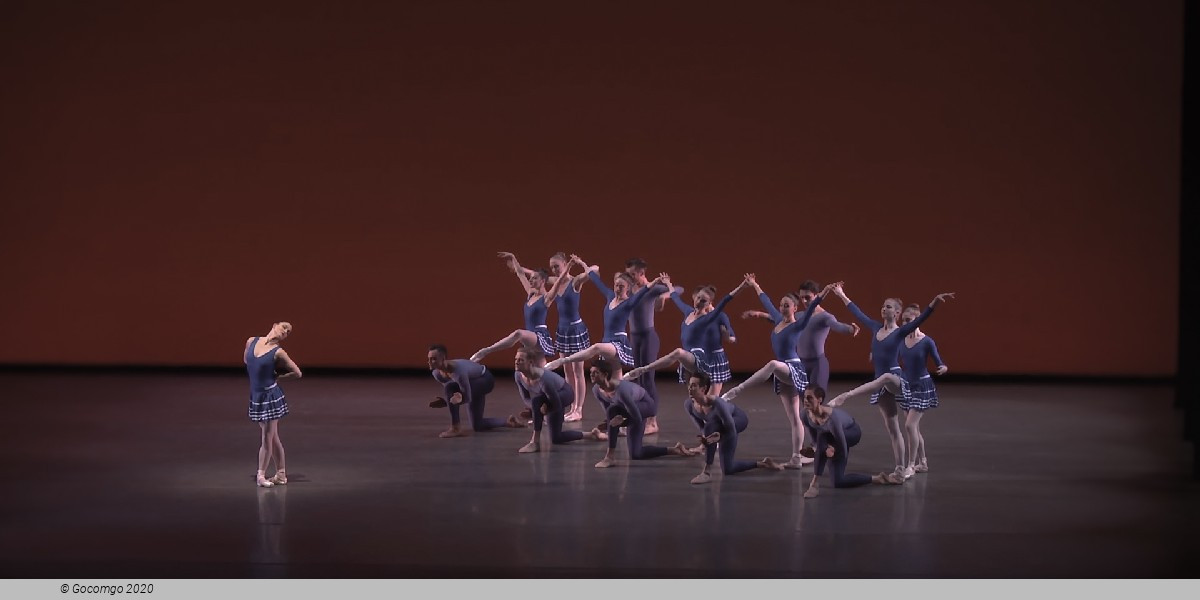 Year of the Rabbit, photo 16