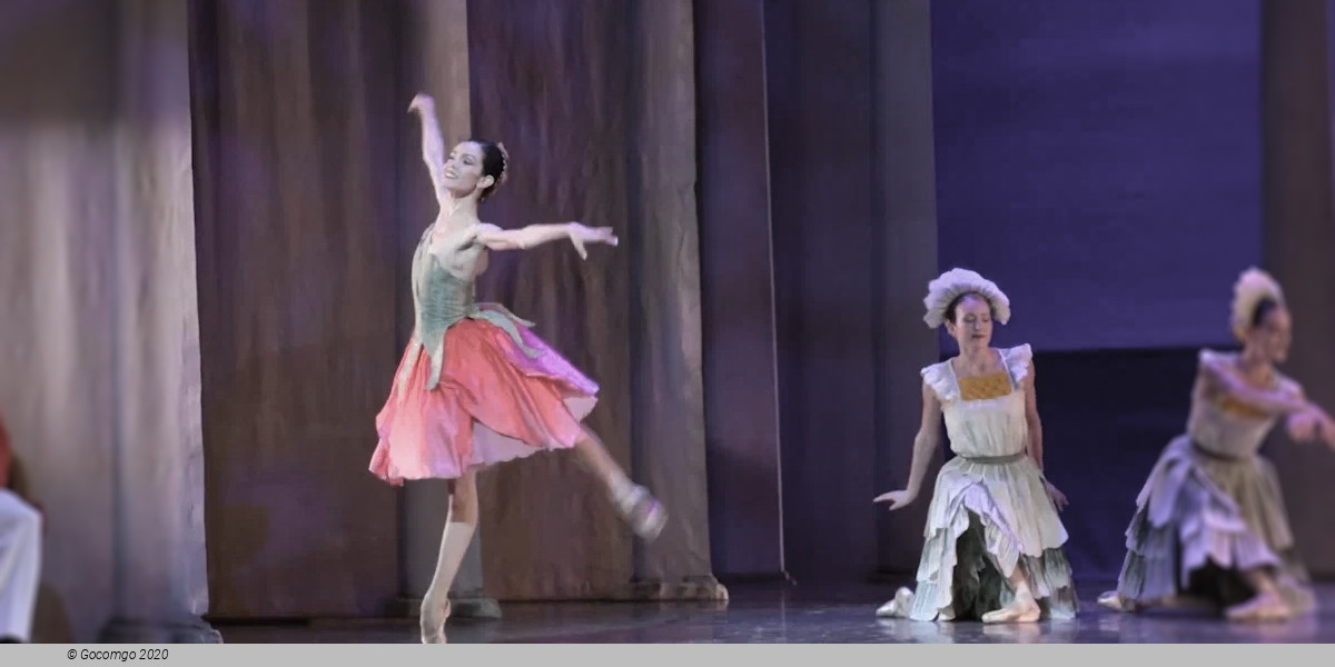 The Nutcracker, photo 8