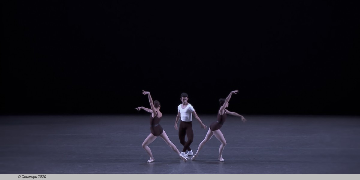 The Four Temperaments, photo 2