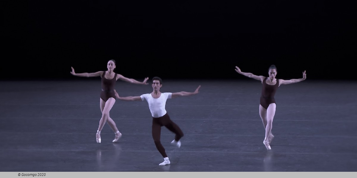 The Four Temperaments, photo 5