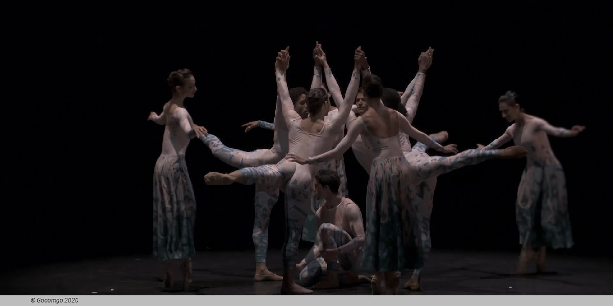 Acosta Danza Up Close, photo 2