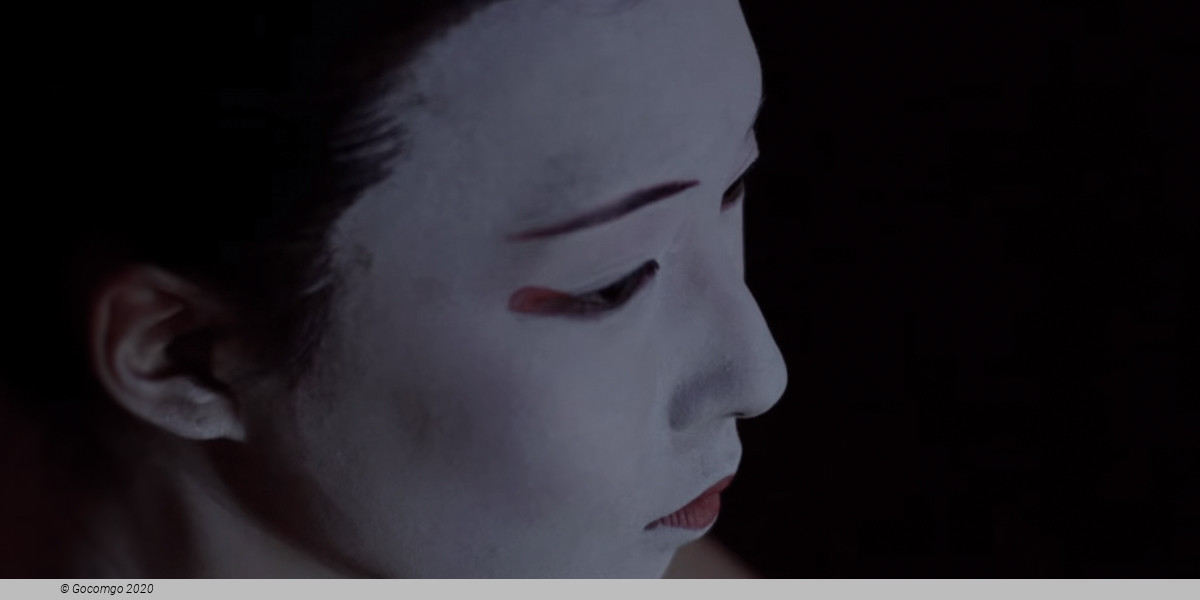 The Kabuki
