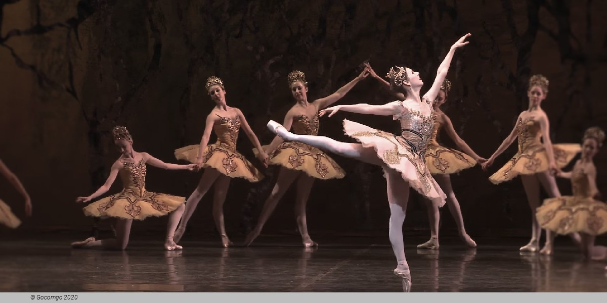 Rudolf Nureyev's The Sleeping Beauty, photo 4