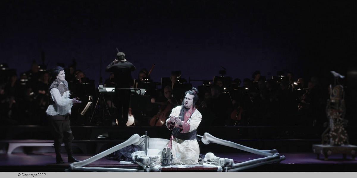 The Nightingale, photo 1