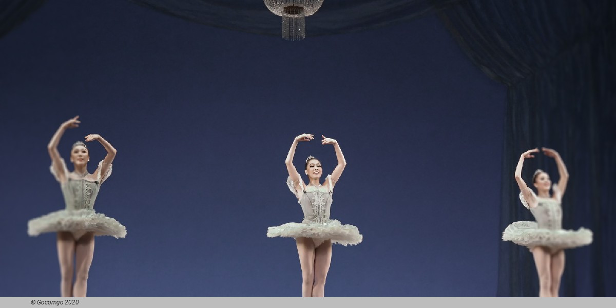 A Night of Dance x12, photo 3