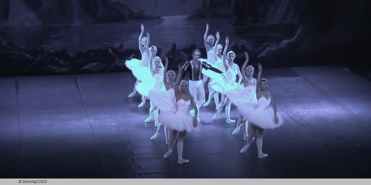 Swan Lake, photo 5