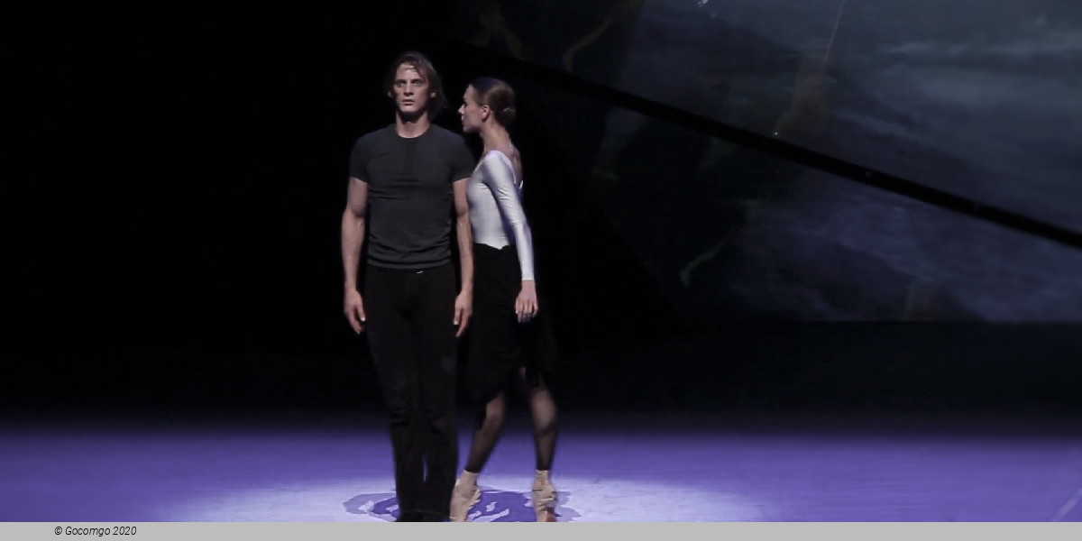 Beethoven Project, photo 1