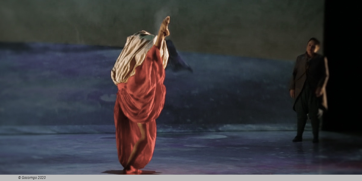 Scene 2 from the show "The Little Prince", photo 2