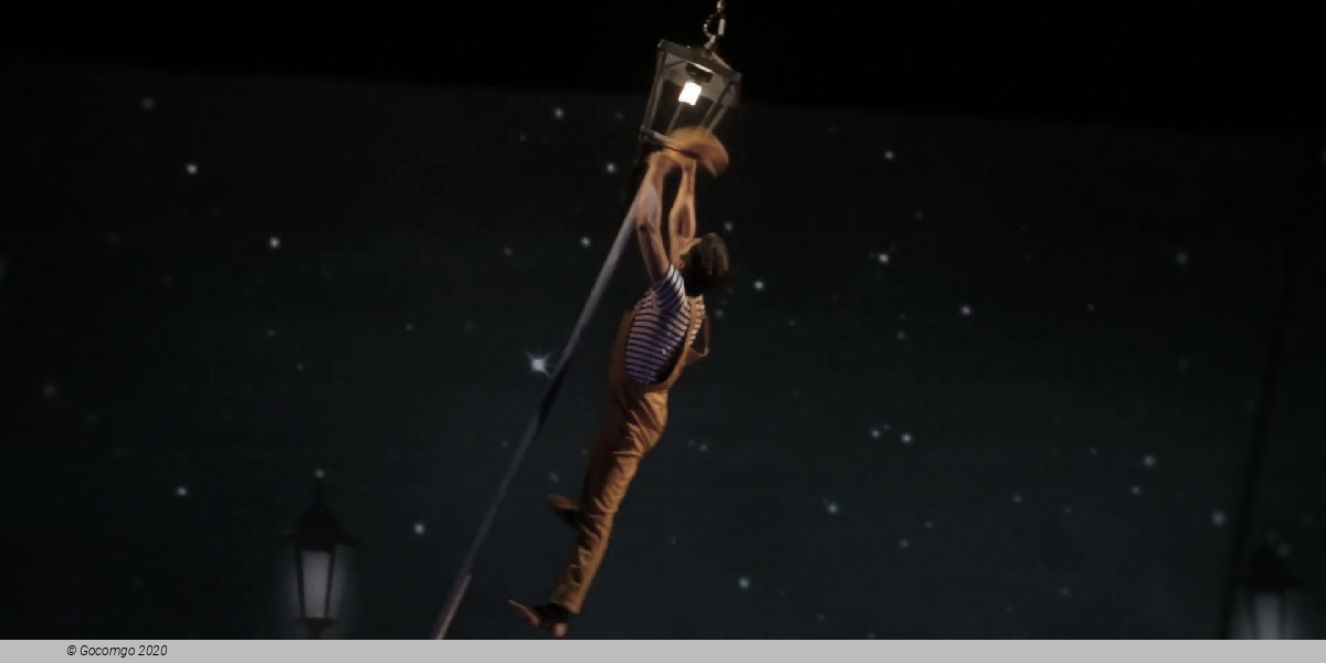 Scene 4 from the show "The Little Prince", photo 4