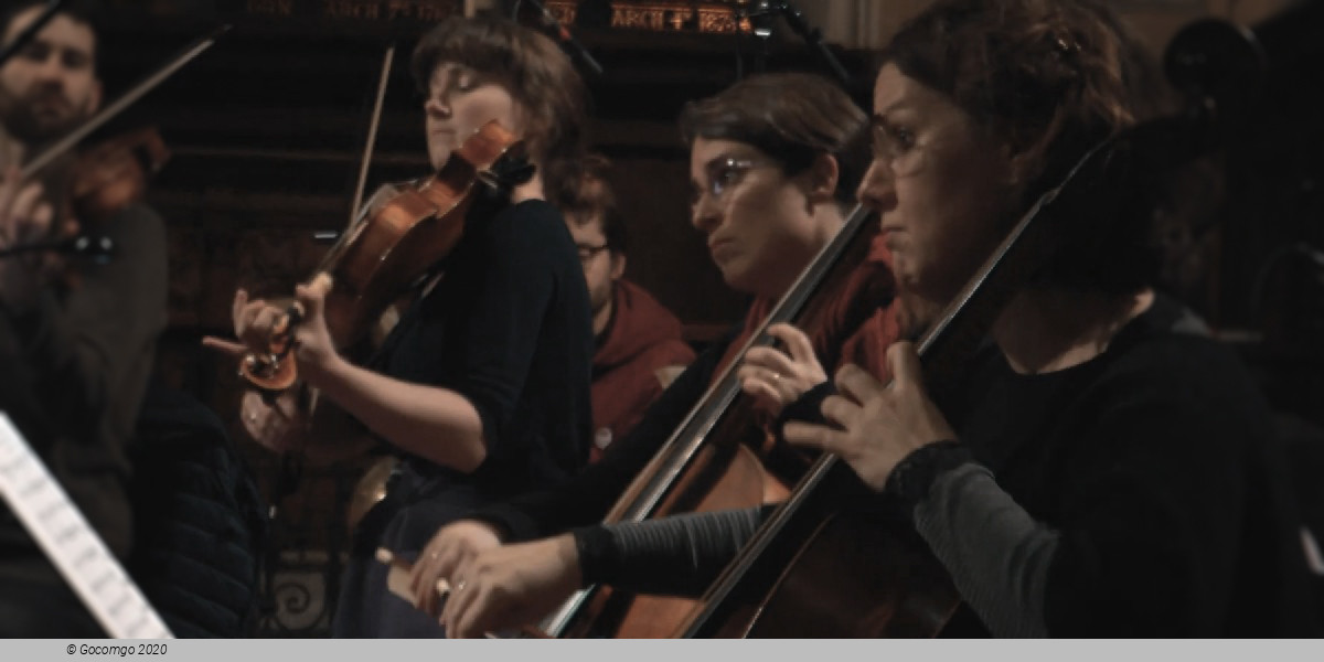 Irish Baroque Orchestra, photo 1