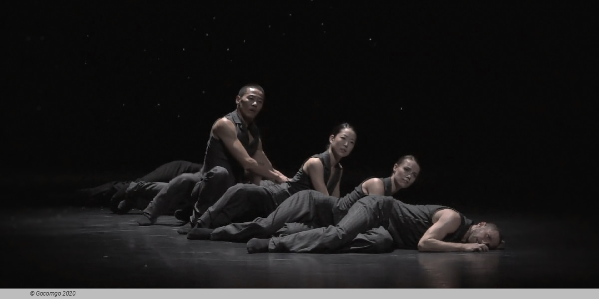 Scene 4 from the modern ballet "Solo Echo", photo 3