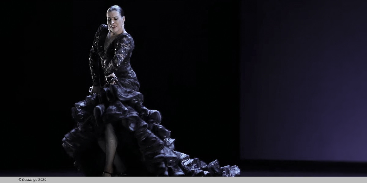 Ballet Nacional de España, photo 1, photo 2