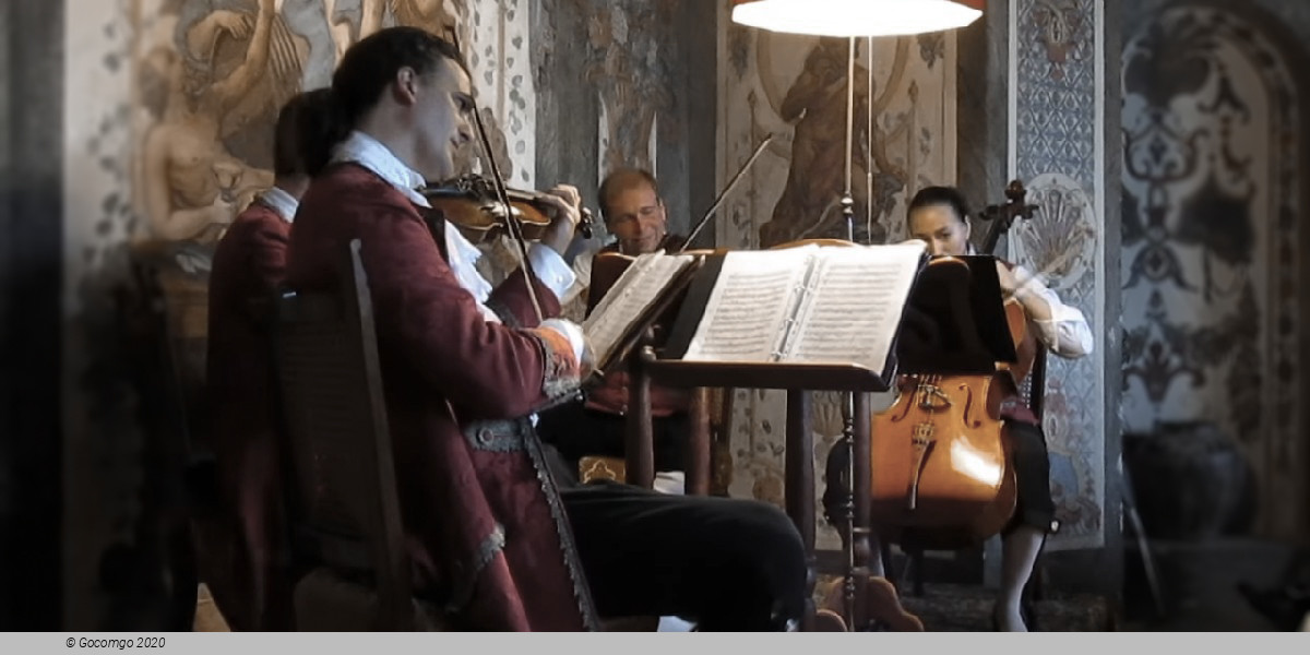 Mozart Ensemble Vienna, photo 2, photo 2