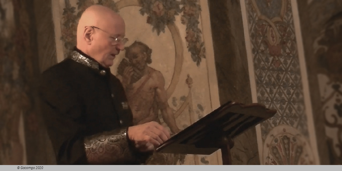 Mozart Ensemble Vienna, photo 4, photo 4