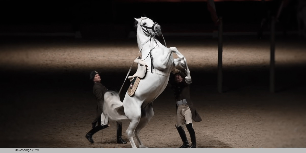 Scene 3 from the show "Spanish Riding School - Performance", photo 4