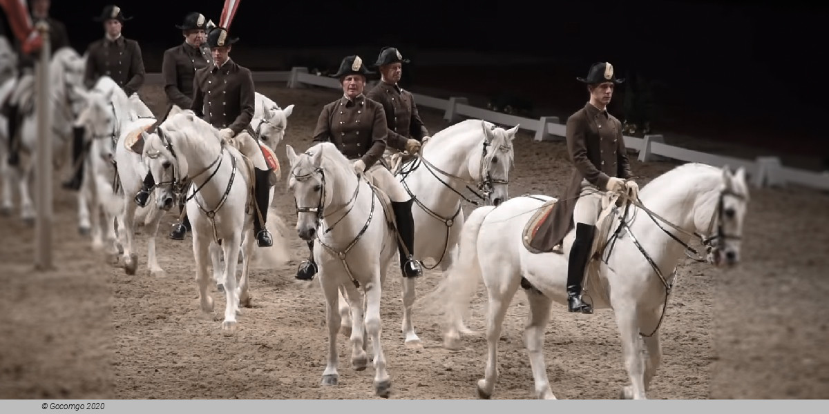 Scene 5 from the show "Spanish Riding School - Performance", photo 6