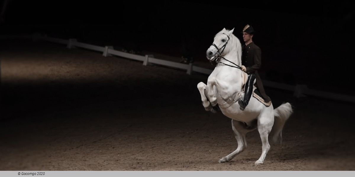 Scene 6 from the show "Spanish Riding School - Performance", photo 7