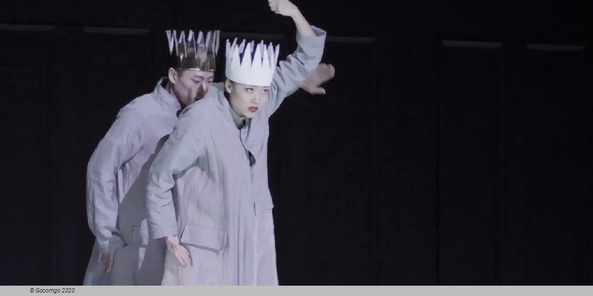 Scene 8 from the modern ballet "Kunstkamer", photo 8